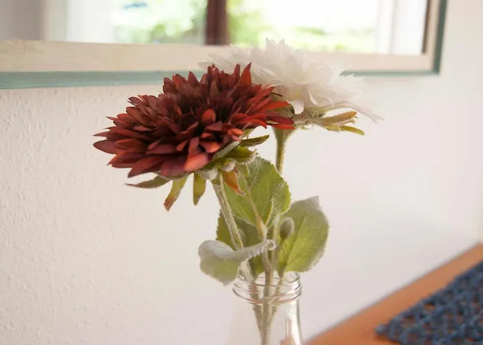 Mediterranea