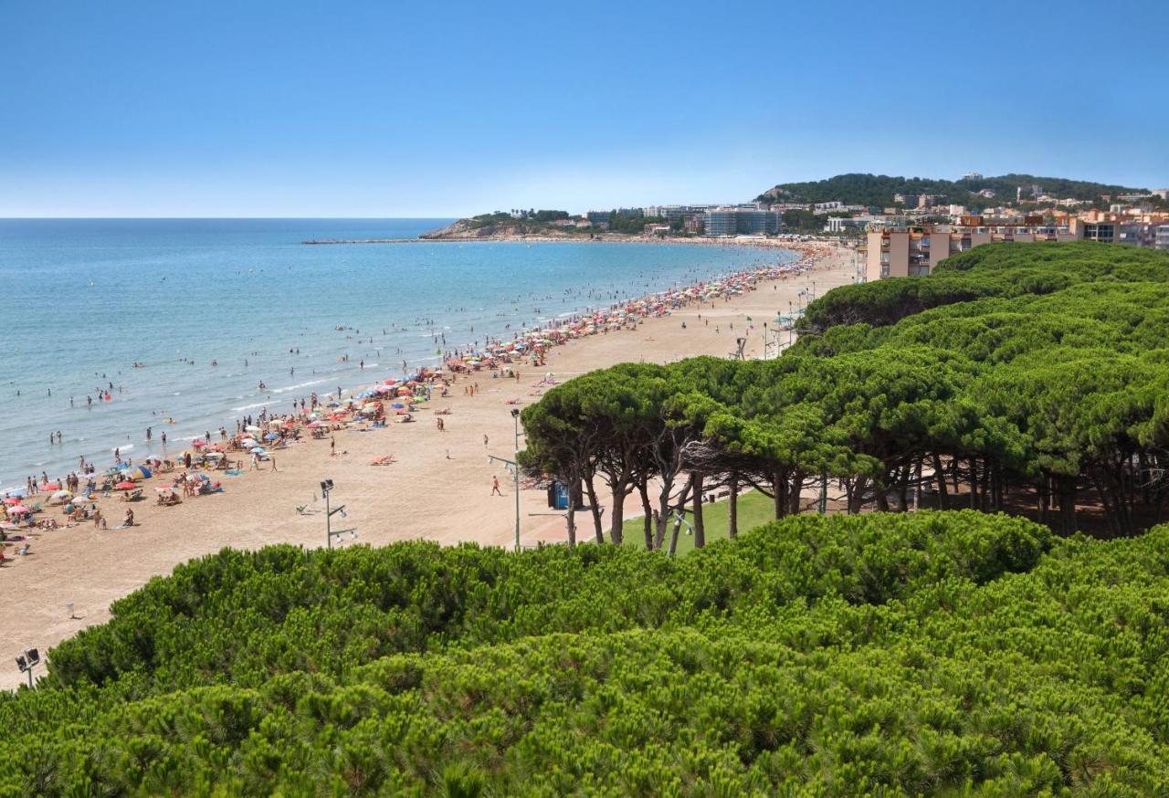 Mediterranea * La Pineda